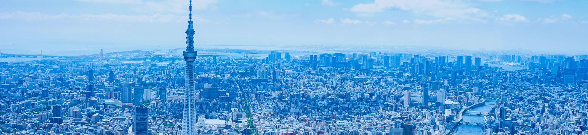 教育旅行ガイド